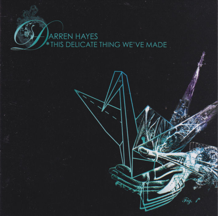 DARREN HAYES - This Delicate Things We've Made - Out of Print South African CD - CDRPM1992
