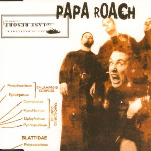 PAPA ROACH - Last Resort - Out of Print South African CD Single - MAXCD286