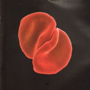 PETER GABRIEL - Scratch My Back - Out of Print South African CD - CDVIR(WF)899
